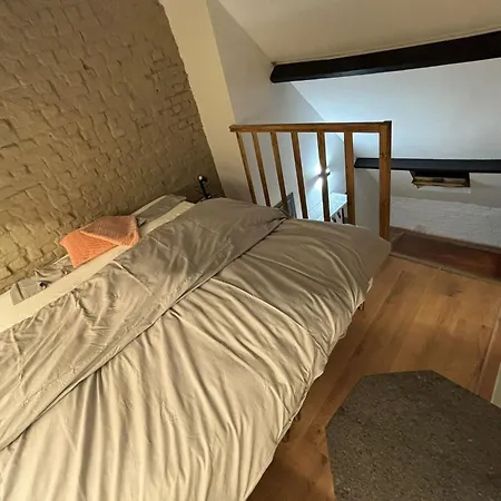 Comfy & Cozy 5Br Apartment In The Heart Of Ghent * Ghent